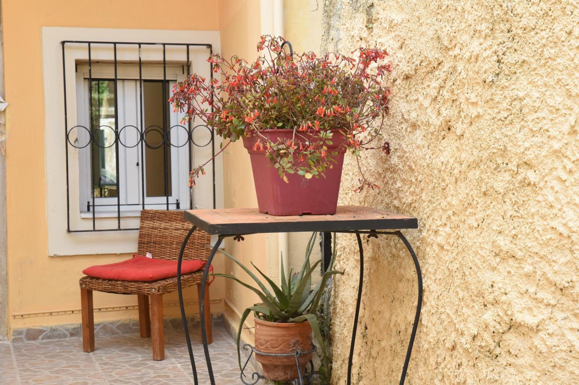 Villa Maxim In Corfu Town Anemomylos ภายนอก รูปภาพ